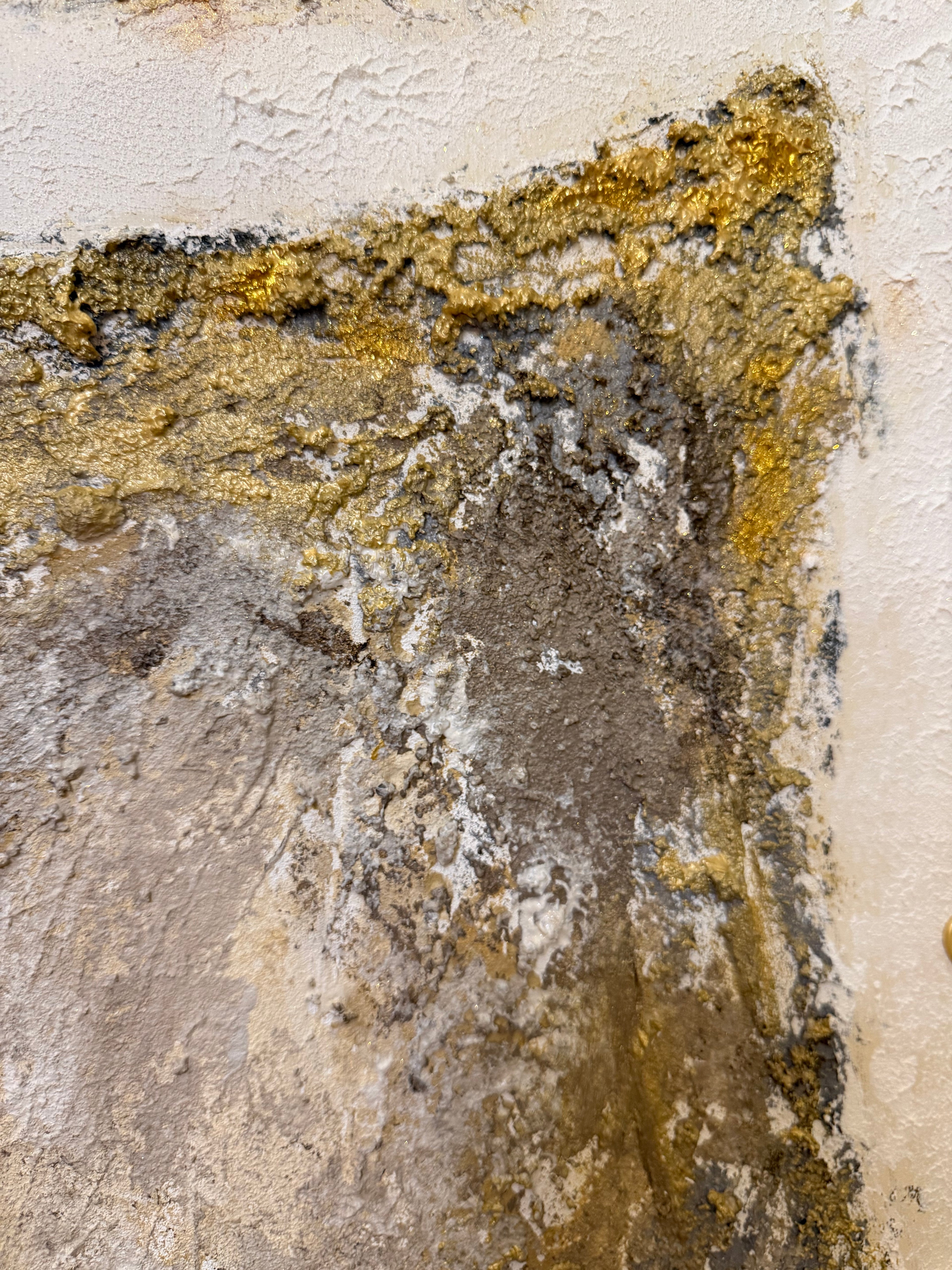 CELOST  70x100