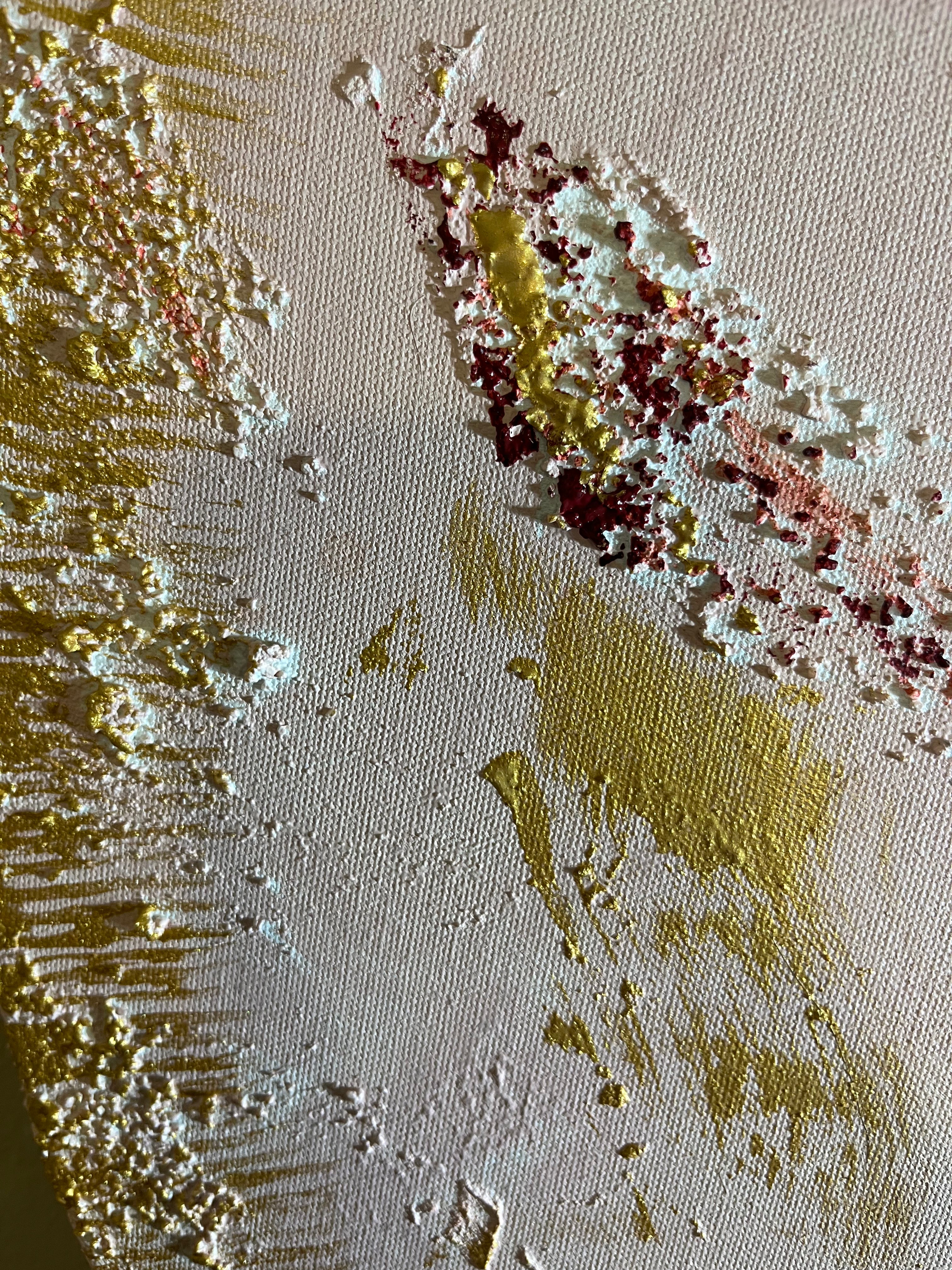 Kořeny světla  80x80