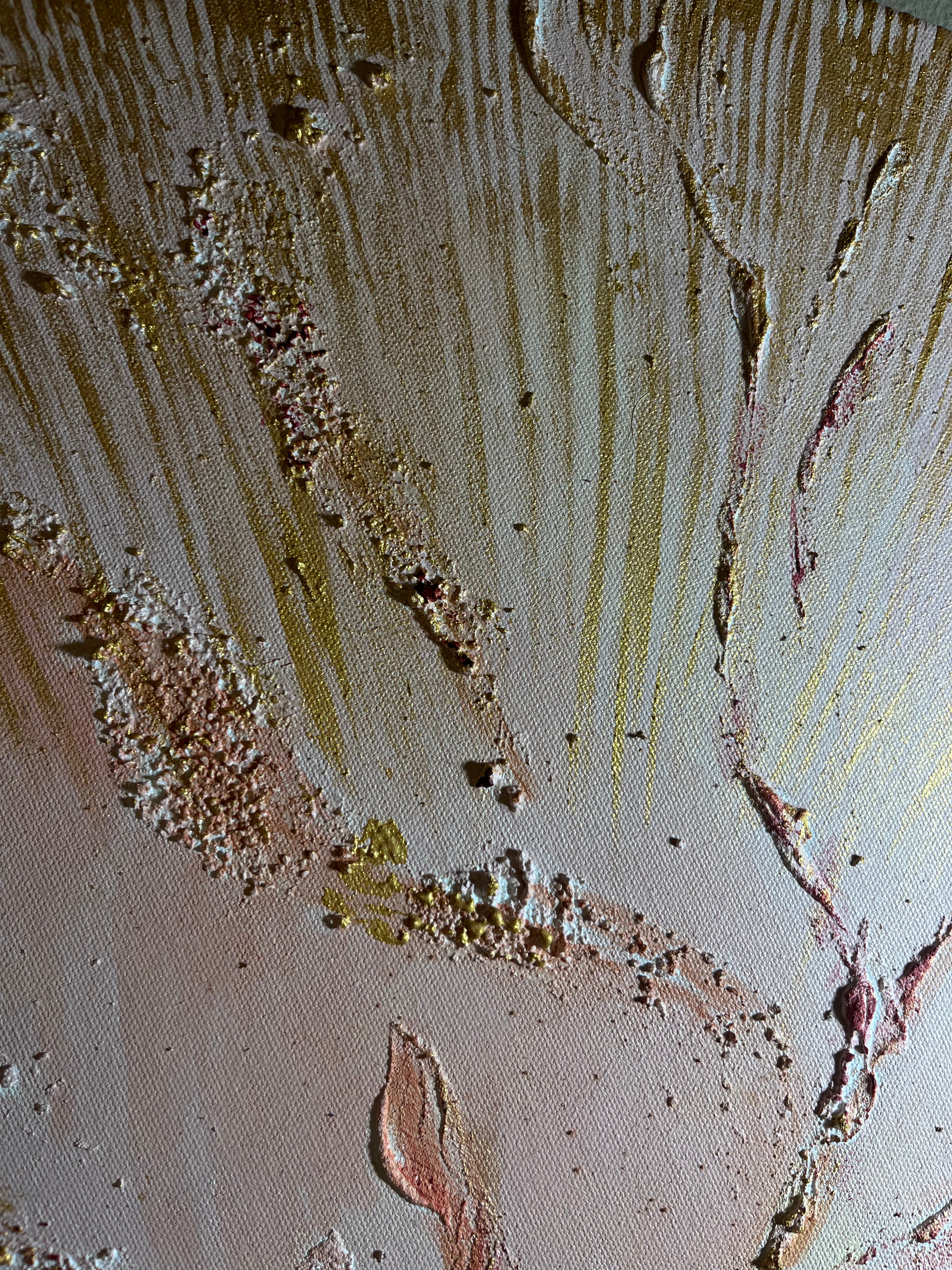 Kořeny světla  80x80